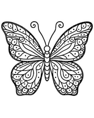 Intricate Butterfly